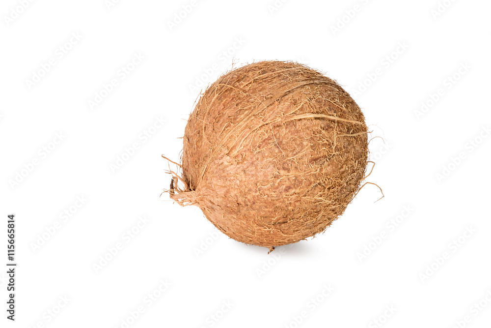 Fresh coconut isolated Fresh coconut isolated