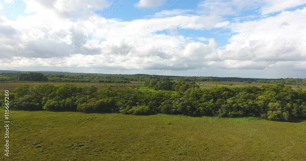 Above lowland heathland with oak, birch trees in English countryside Above lowland heathland with oak, birch trees in English countryside