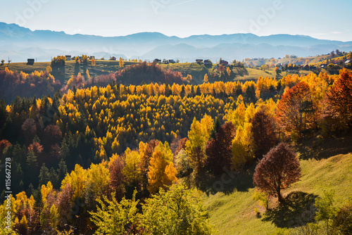 Colorful autumn landscape in the mountain village Magura  morning in the Carpathian mountains. Romania  Europe.