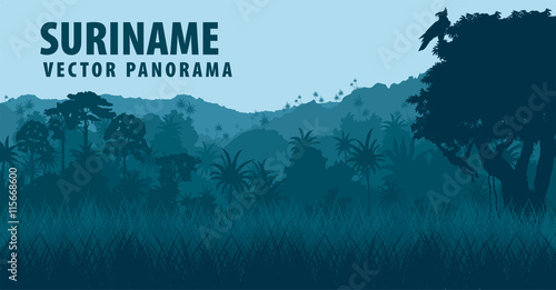 Vector panorama with Jungle Rainforest - Suriname, South America
