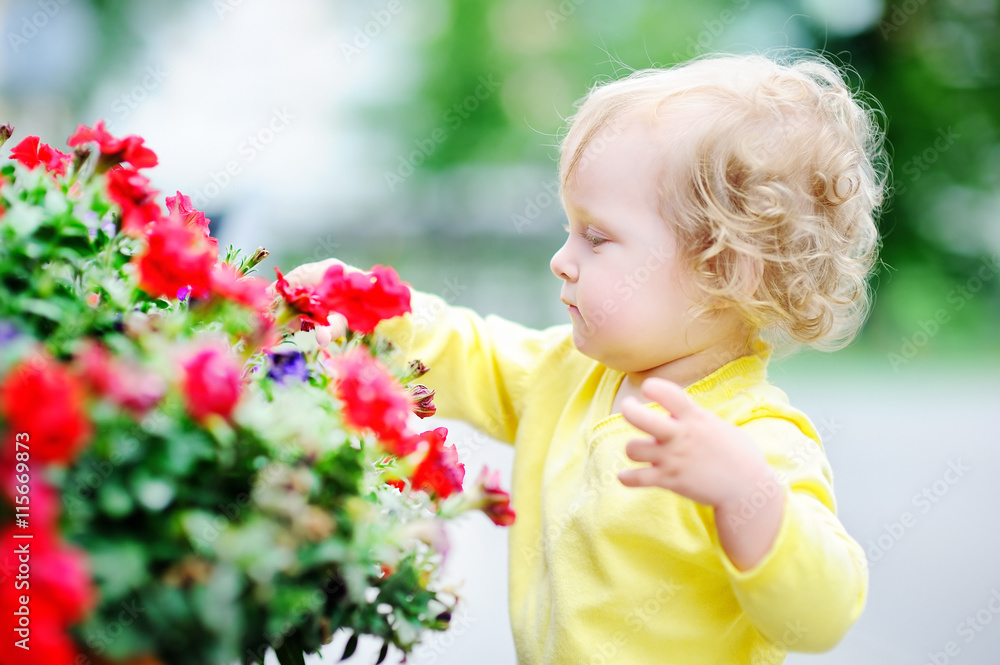 Funny curly hair toddler girl smelling red flowers