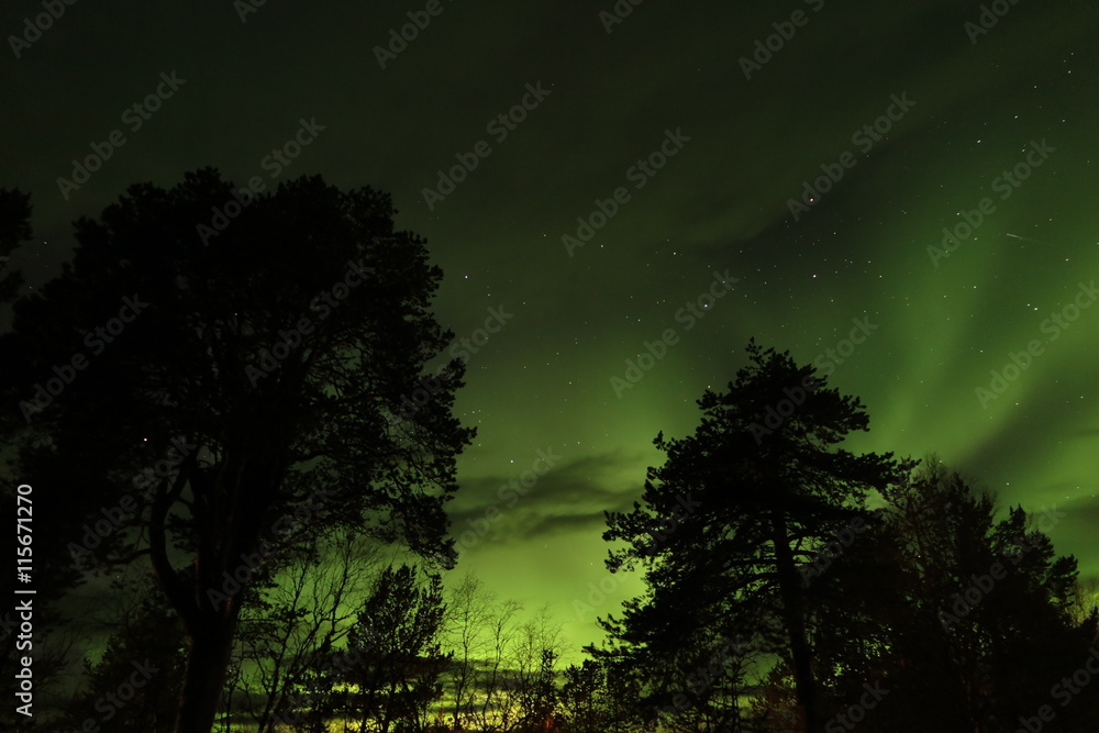 Aurora Boreal en Finlandia Aurora Boreal en Finlandia