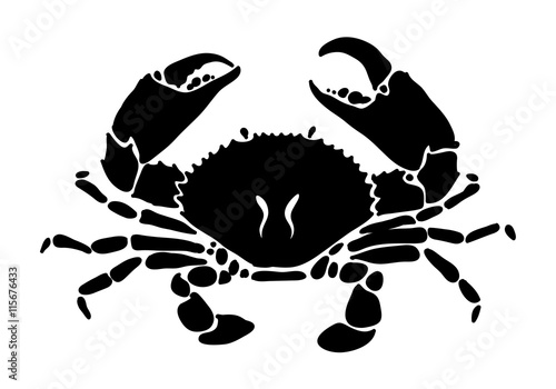 black crab, vector