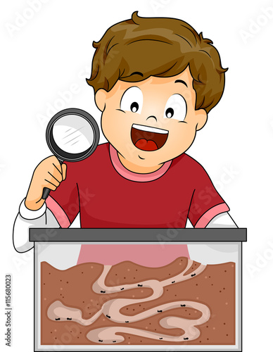 Kid Boy Formicarium