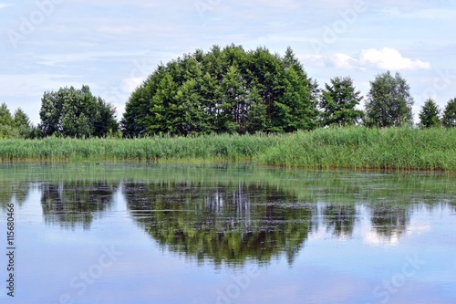 Uferlandschaft spiegelt sich im See