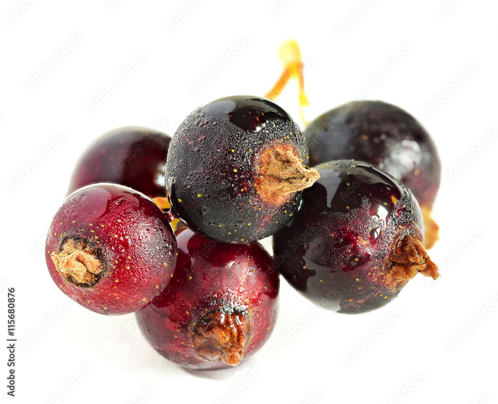 Obraz premium currants on a white background