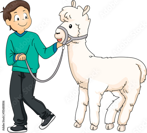 Kid Boy Pet Alpaca