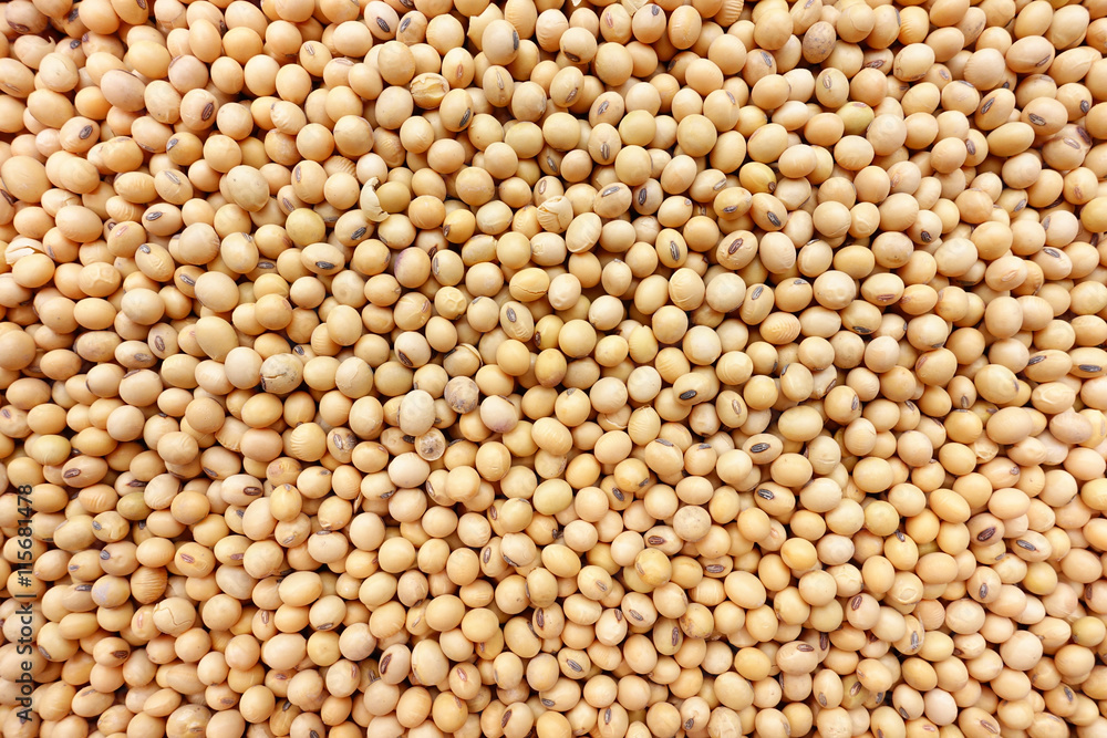 Soy beans for background Soy beans for background