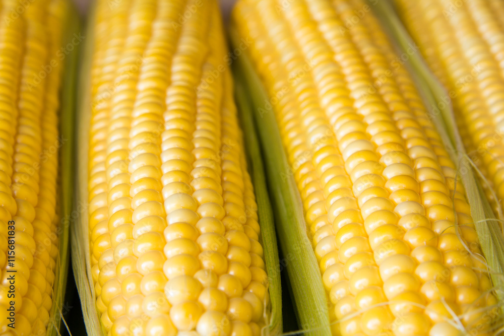 Ripe corn grains on cob and green leaves. Closeup Ripe corn grains on cob and green leaves. Closeup