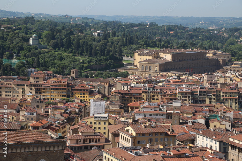 View to Palazzo Pitti and Giardino di Boboli in Florence, Tuscany Italy