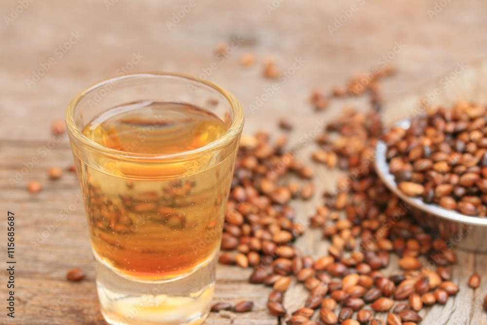 Fototapeta premium barley tea