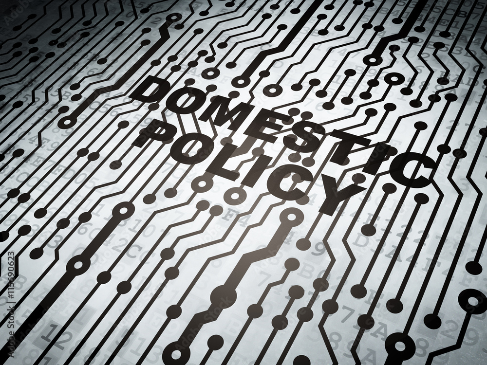 Fototapeta premium Political concept: circuit board with Domestic Policy