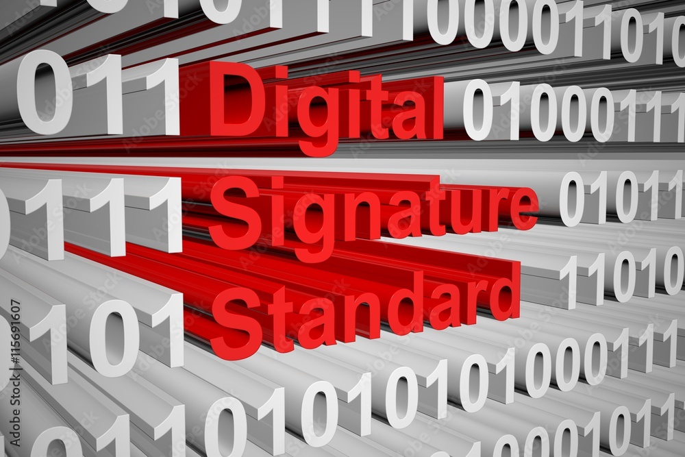 Digital Signature Standard in the form of binary code, 3D illustration