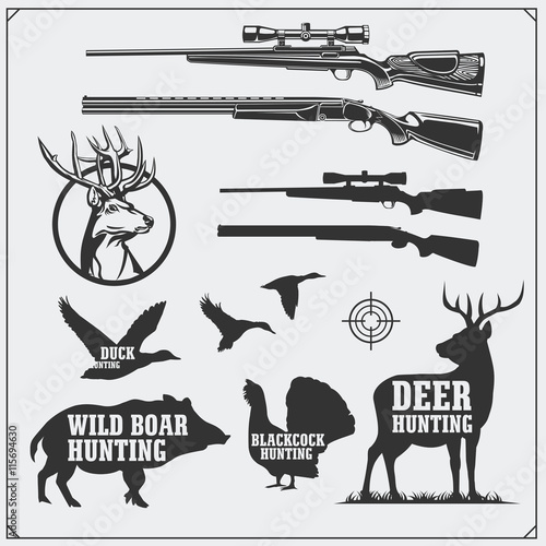 Vector set of hunting objects, label and design elements. Weapons, wild boar, deer, turkey and duck.
