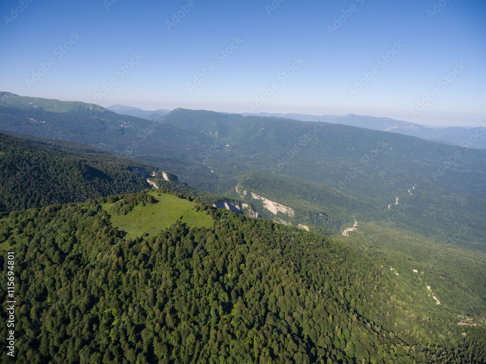The mountain ridge covered  forest. Mountain landscape. The bird