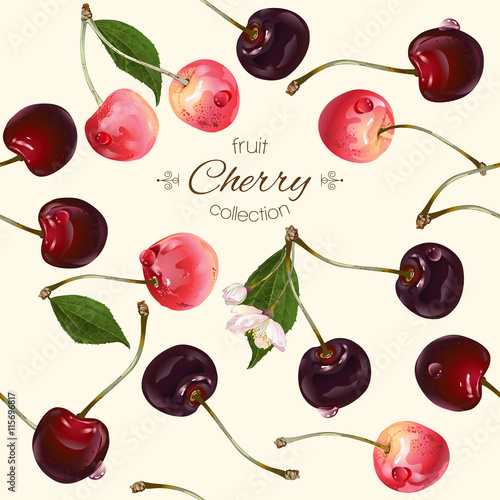 Vector cherry seamless pattern.