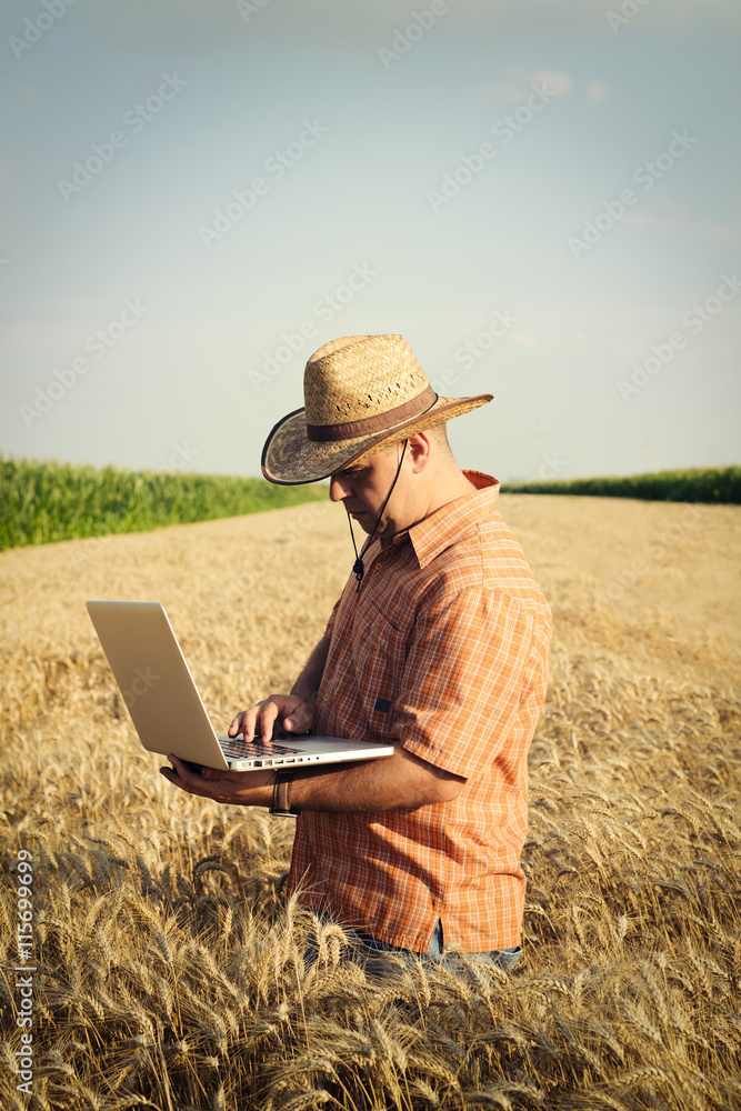 Farmer checking his wheat field and working on laptop computer Farmer checking his wheat field and working on laptop computer