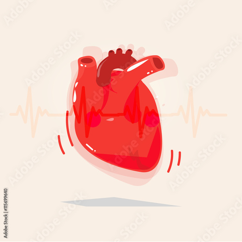 Human heart with beat - vector