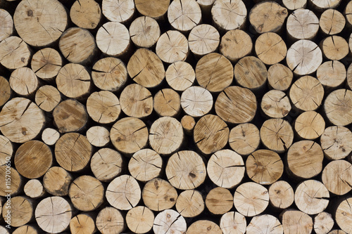 The wall of the log house. Firewood for the winter. Background