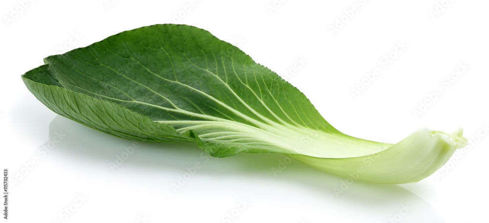 Bok choy (chinese cabbage) Bok choy (chinese cabbage)
