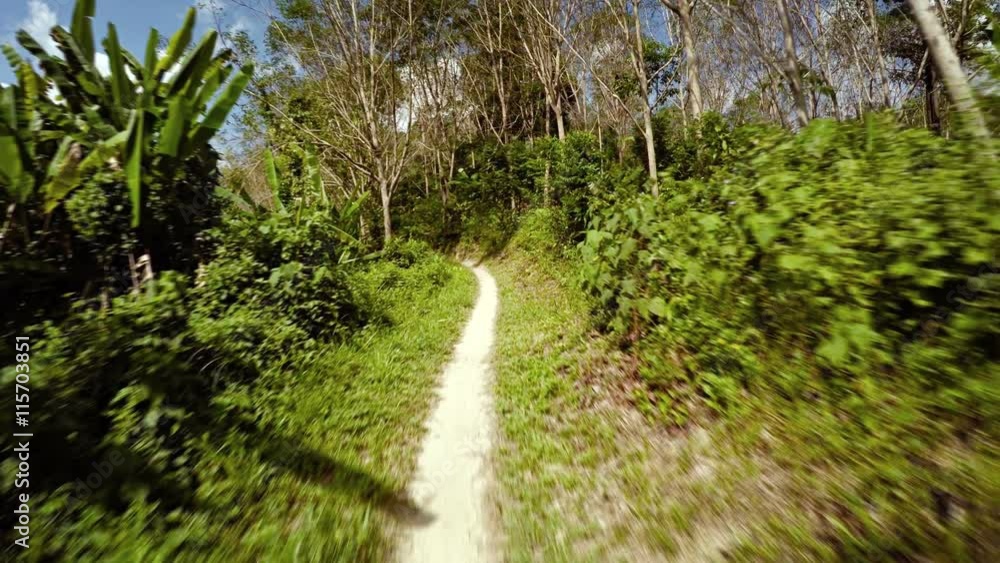 Slow motion clip of a trip along a narrow, tropical nature trail on a sunny day, with dense greenery on both sides. Video UltraHD Slow motion clip of a trip along a narrow, tropical nature trail on a sunny day, with dense greenery on both sides. Video UltraHD