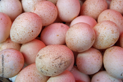 White spotted turkey eggs display close-up