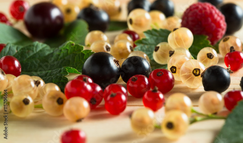 Strawberry, blueberry, blackberry, raspberry, cherry, apricots, gooseberry and currant. View from above, top studio shot