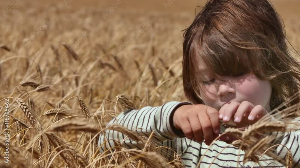 jolie jeune fille dans les blés mûrs jolie jeune fille dans les blés mûrs