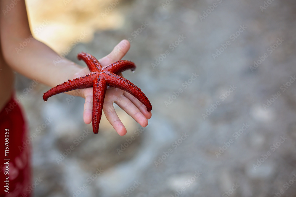 Little boy holding red five point starfish in his hands on the b Little boy holding red five point starfish in his hands on the b