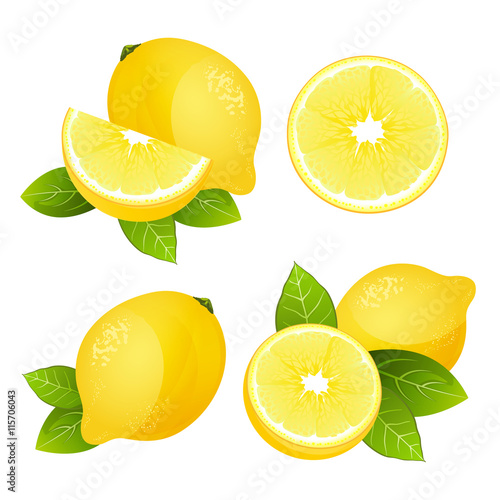 Fresh lemon fruit slice set. Collection of realistic juicy citrus with leaves vector illustration isolated on white background