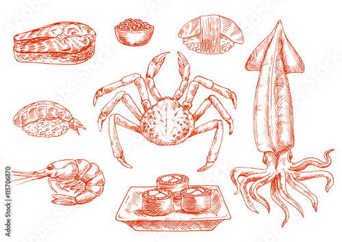 Raw seafood cuisine, crab and squid