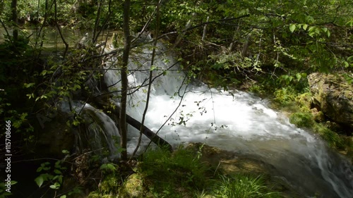 Fast mountain river with overfalls, sight through the trees. photo