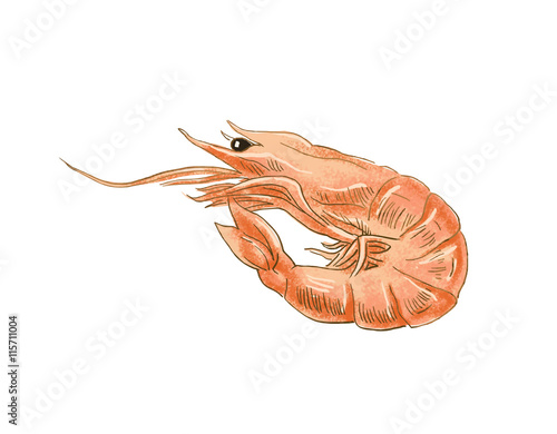 エビ