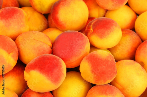 Apricot, close up