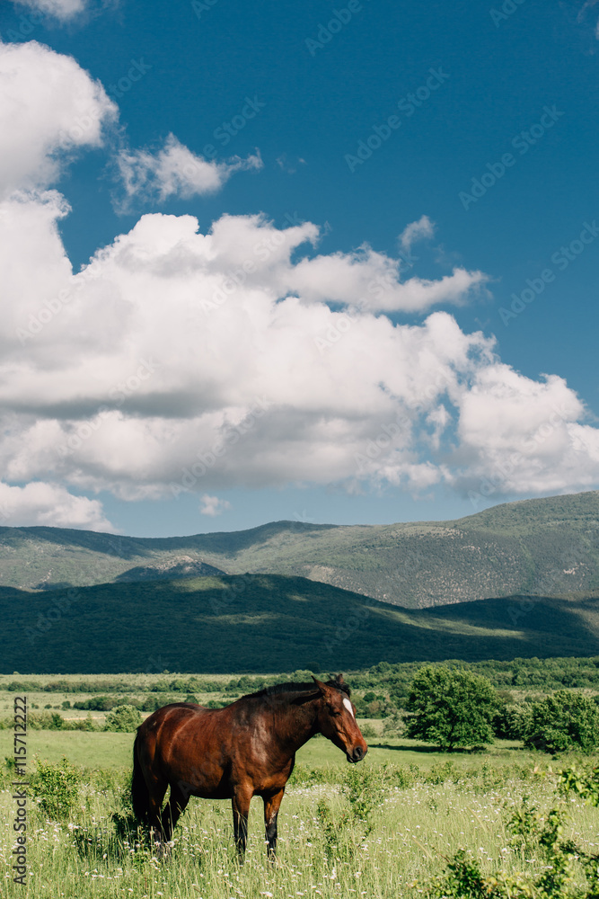 mountains and hors