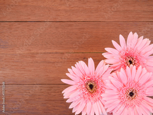 Sweet pink Gerbera flower in wood background 1