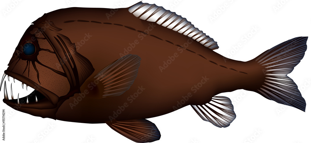 オニキンメ 魚イラスト ベクター Stock ベクター Adobe Stock