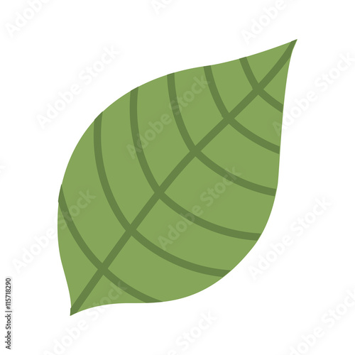 leaf green isolated icon design