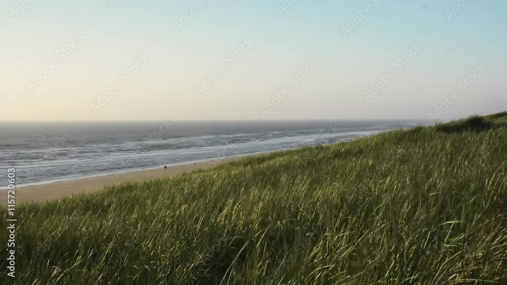 Evening in the dunes on the North Sea coast Evening in the dunes on the North Sea coast