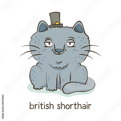British shorthair. Cat character isolated on white