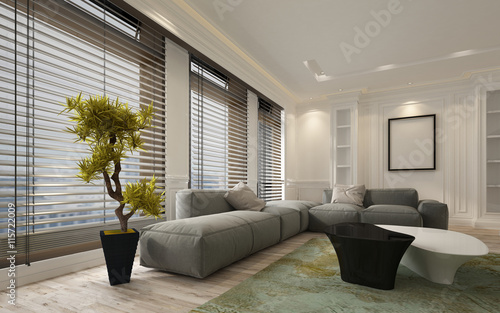 Photographie Fancy apartment living room interior with blinds