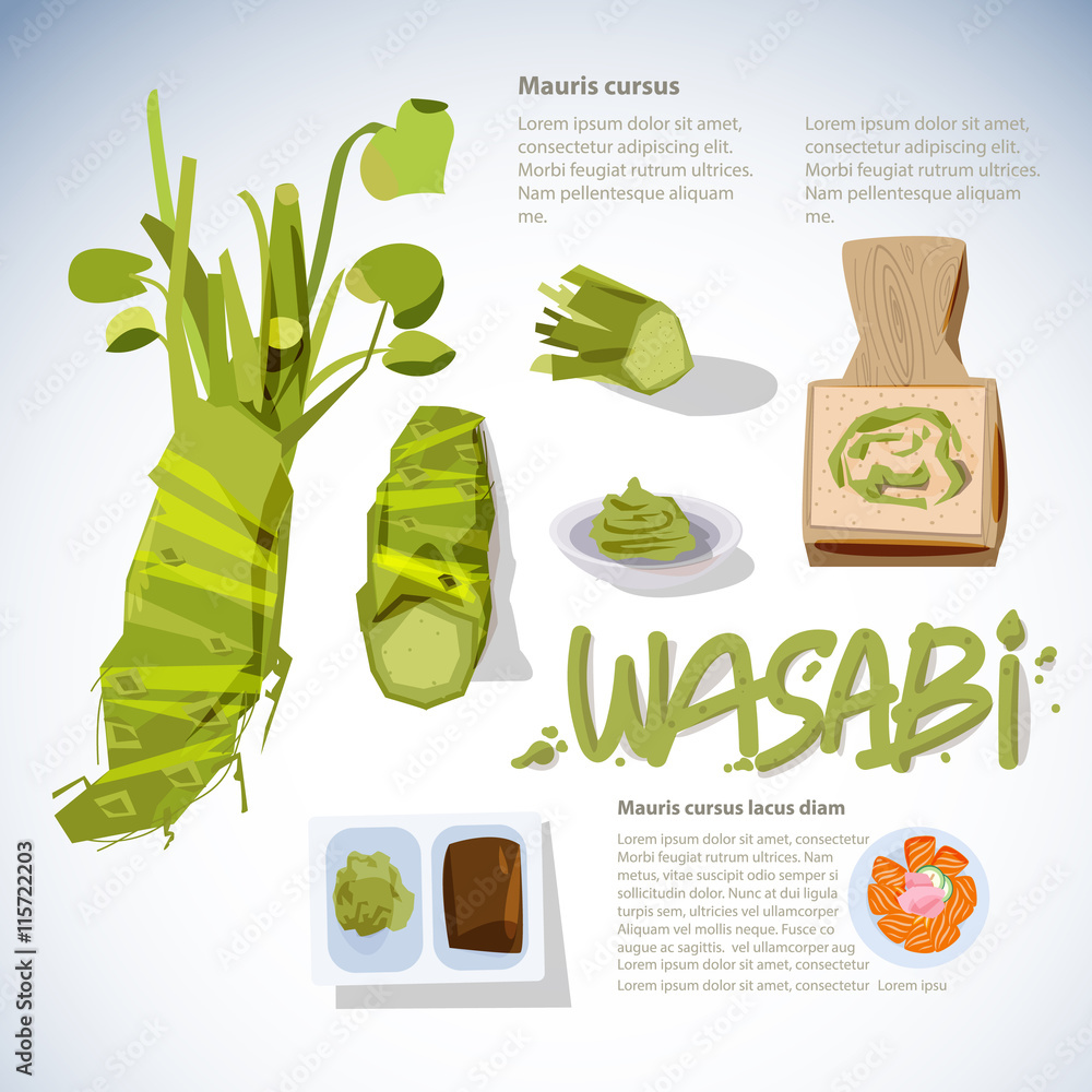 wasabi root or plant set. grated fresh wasabi by shark skin grater.  infographic. sashimi. typographic for header design - vector illustration  Stock Vector | Adobe Stock