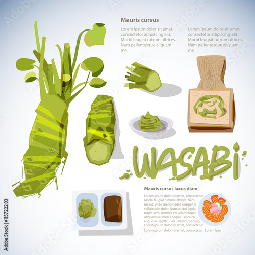 wasabi root or plant set. grated fresh wasabi by shark skin grater. infographic. sashimi. typographic for header design - vector illustration photo