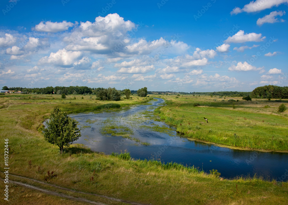 summer landscape with a river on background sky