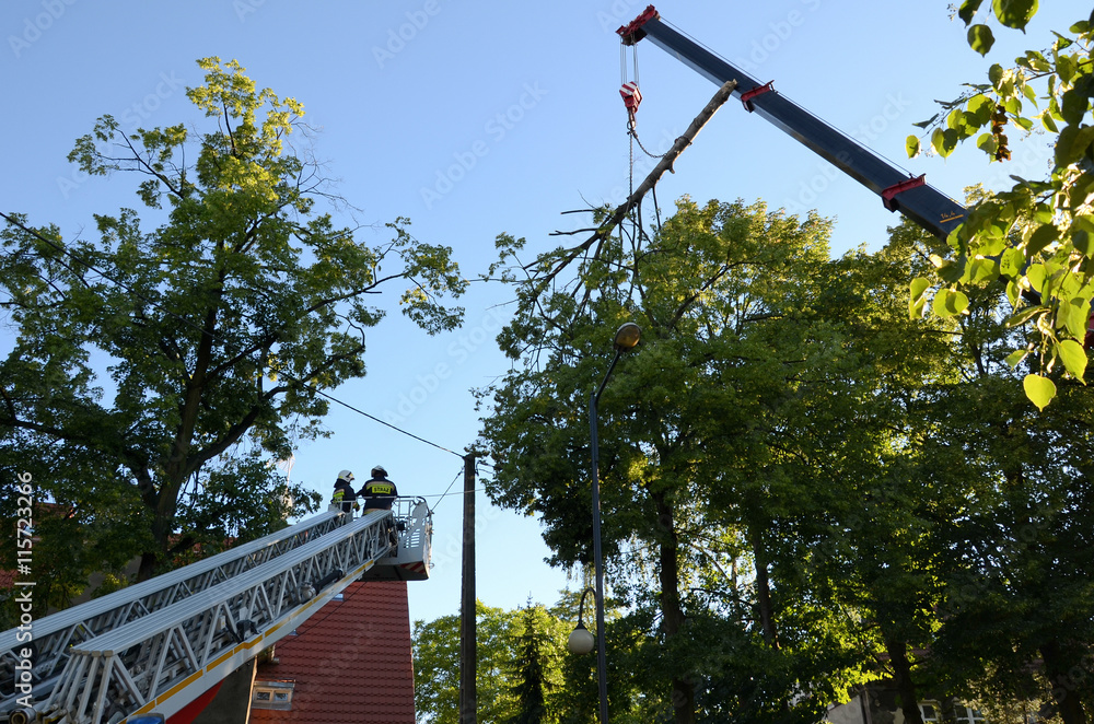 Action firefighters - removing broken tree