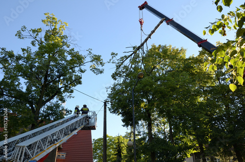 Obraz na płótnie Action firefighters - removing broken tree w salonie
