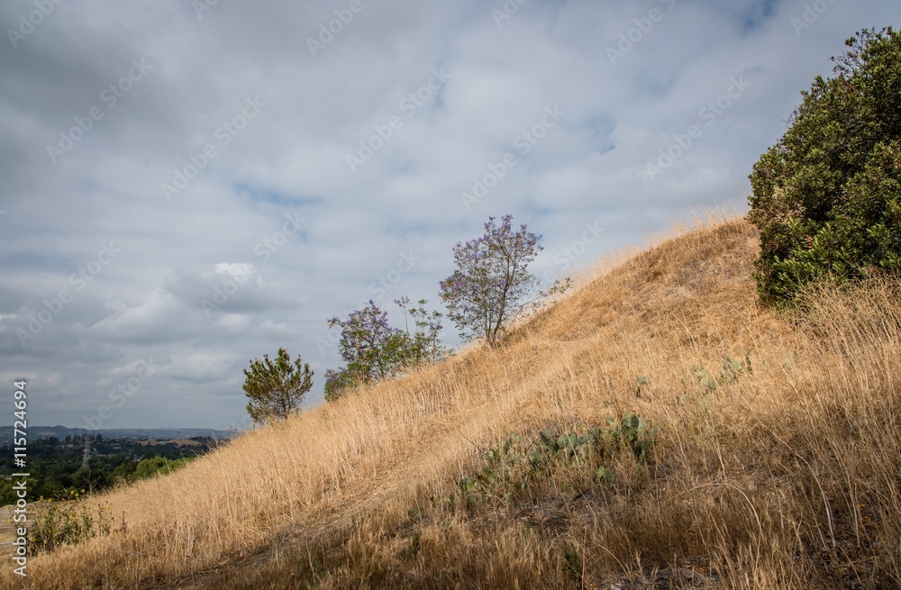 Obraz premium Landscape