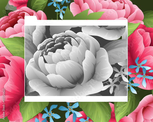 flowers / floral background