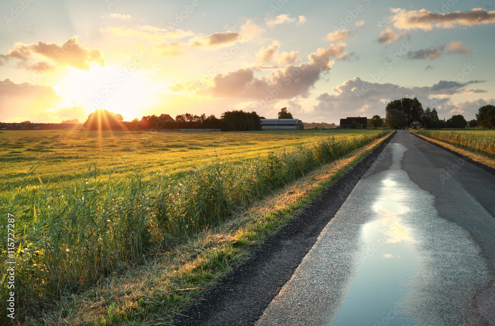 morning sunshine over road in Dutch farmland