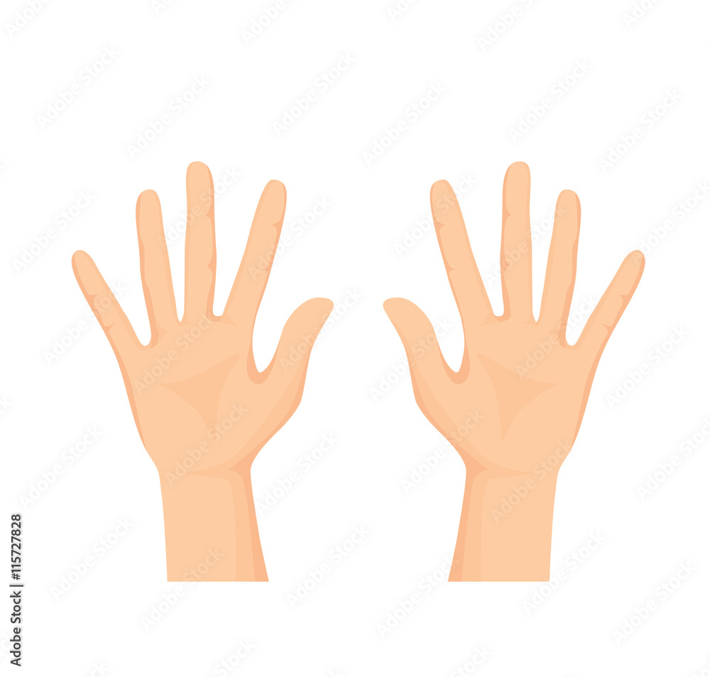 Vector of Open hands isolated on white background Vector of Open hands isolated on white background